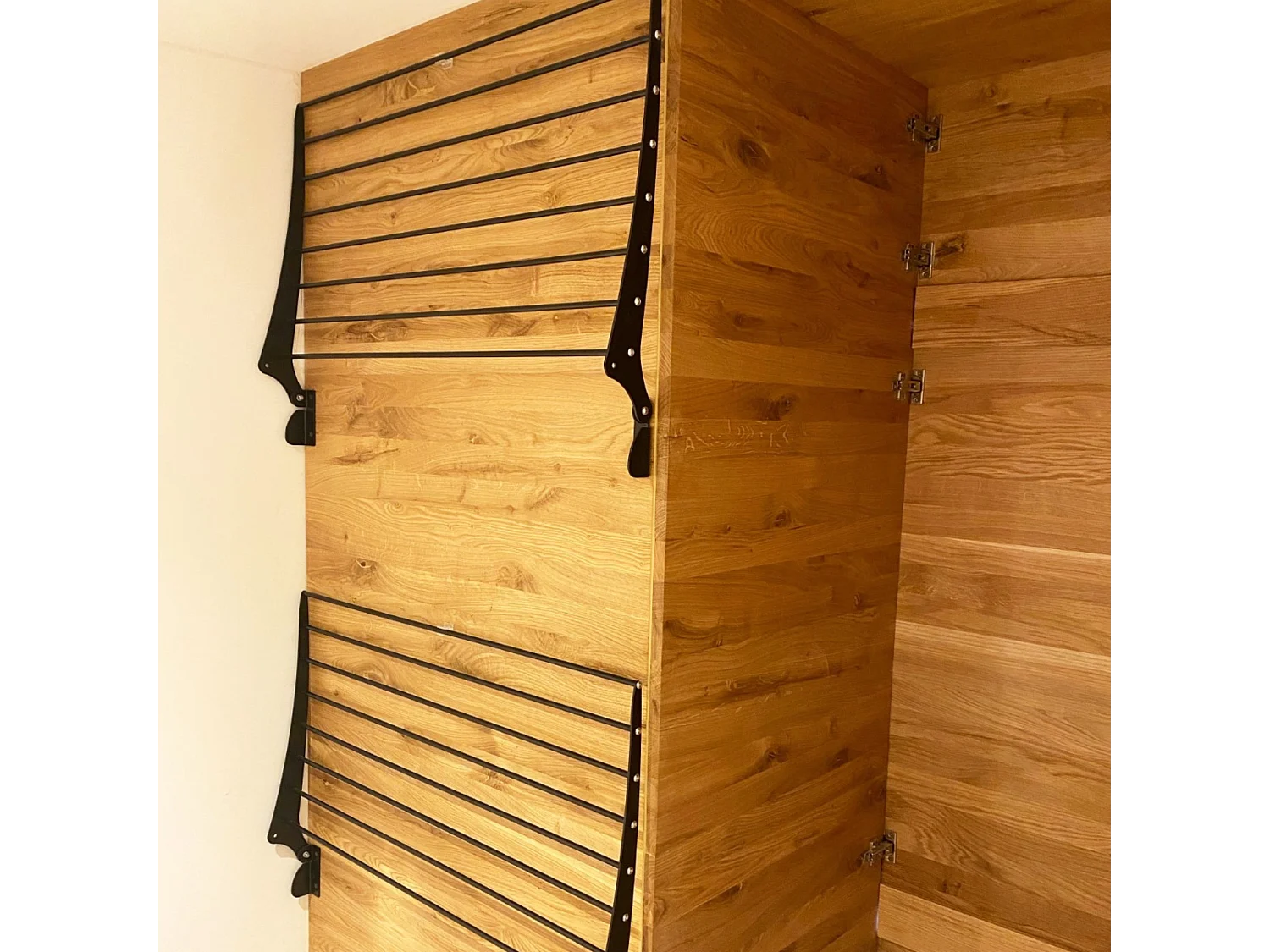 Étendoir à linge mural pour intérieur et extérieur – noir – 100x50x10 cm Fold 100