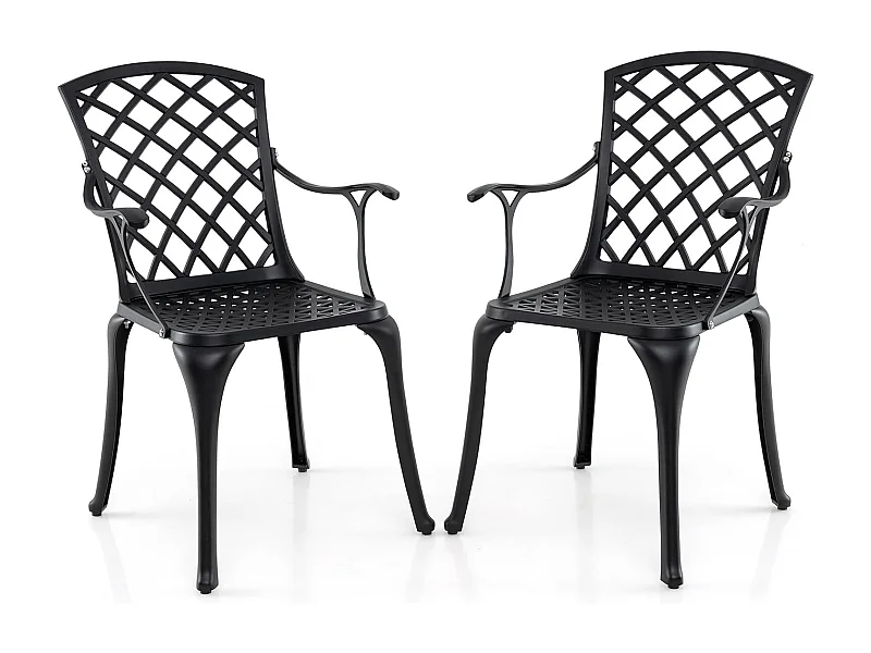 Set van 2 tuinstoelen van gegoten aluminium, weerbestendige terrasstoelen met armleuningen, balkonstoelen voor tuin, balkon, achtertuin (zwart)ZB34259
