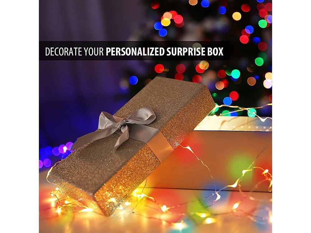 NETTLIFE Guirlande lumineuse à LED Pack de 8 batteries 2M 20 guirlandes lumineuses alimentées par batterie Décoration de Noël