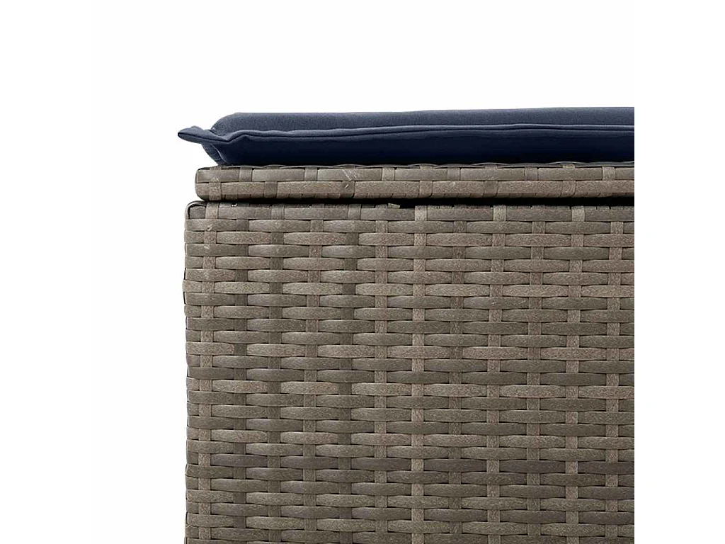 Salon de jardin 2 pcs avec coussins gris résine tressée acacia