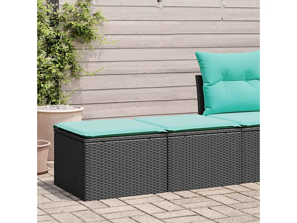 2-tlg. Garten-Sofagarnitur mit Kissen Schwarz Poly Rattan