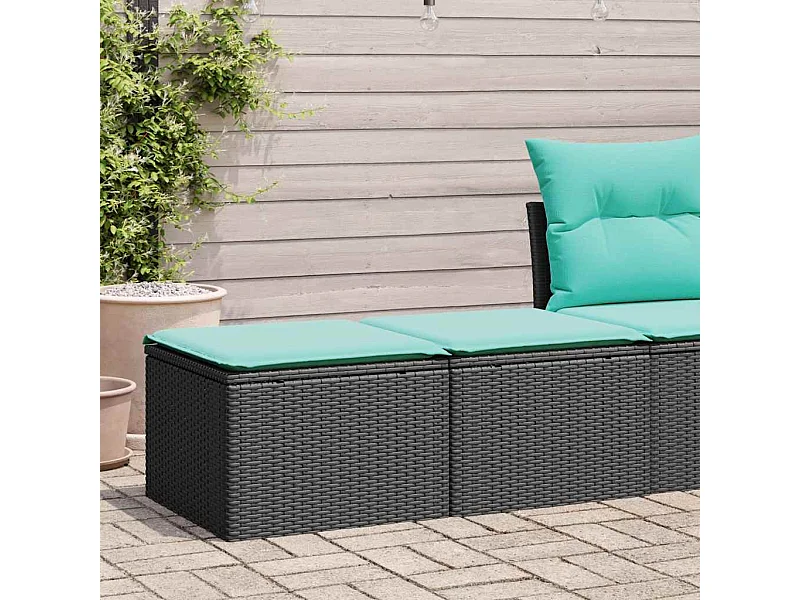 2-tlg. Garten-Sofagarnitur mit Kissen Schwarz Poly Rattan