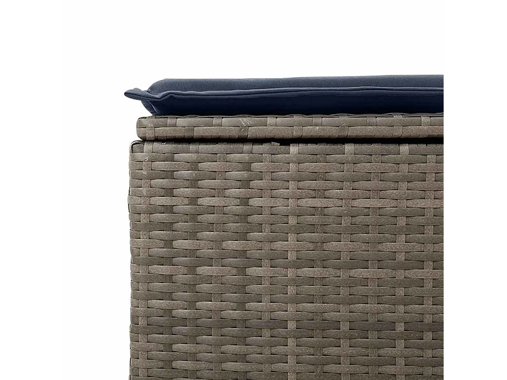 Salon de jardin 2 pcs avec coussins gris résine tressée acacia