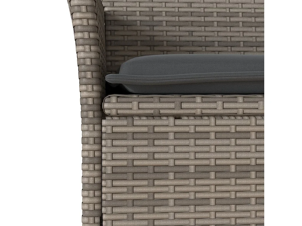 9-delige Tuinset met kussens poly rattan en acaciahout grijs