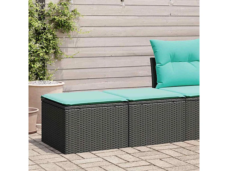 2-tlg. Garten-Sofagarnitur mit Kissen Schwarz Poly Rattan
