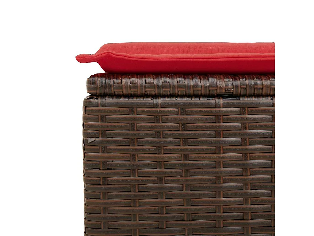 Salon de jardin avec coussins 2pcs marron résine tressée acacia