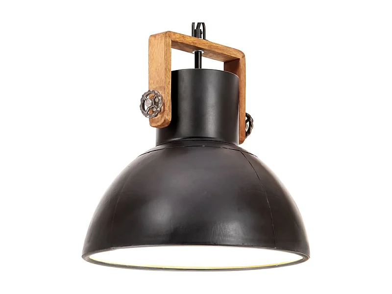 Lampe suspendue industrielle 25 W Noir Rond 30 cm E27