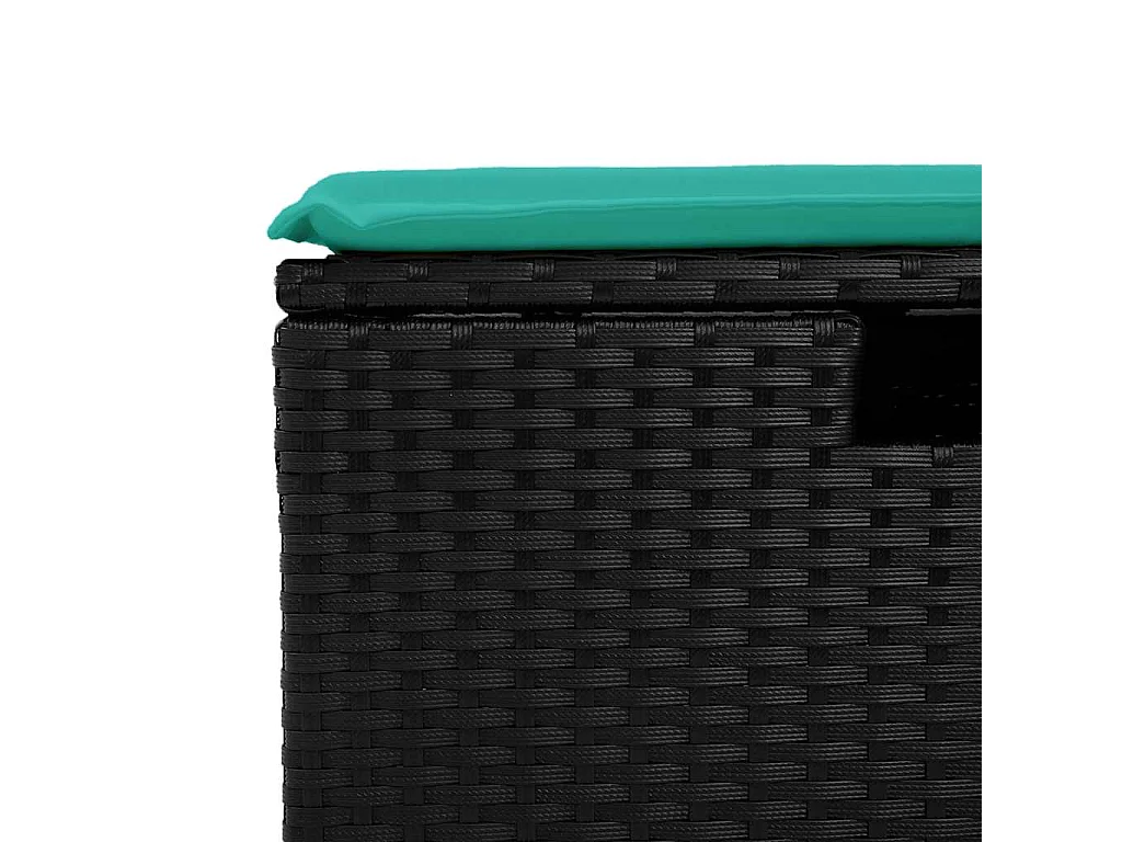 2-tlg. Garten-Sofagarnitur mit Kissen Schwarz Poly Rattan