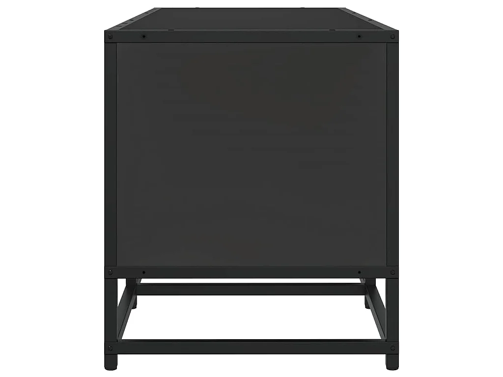 TV-Schrank Schwarz 120x35x41 cm Holzwerkstoff und Metall