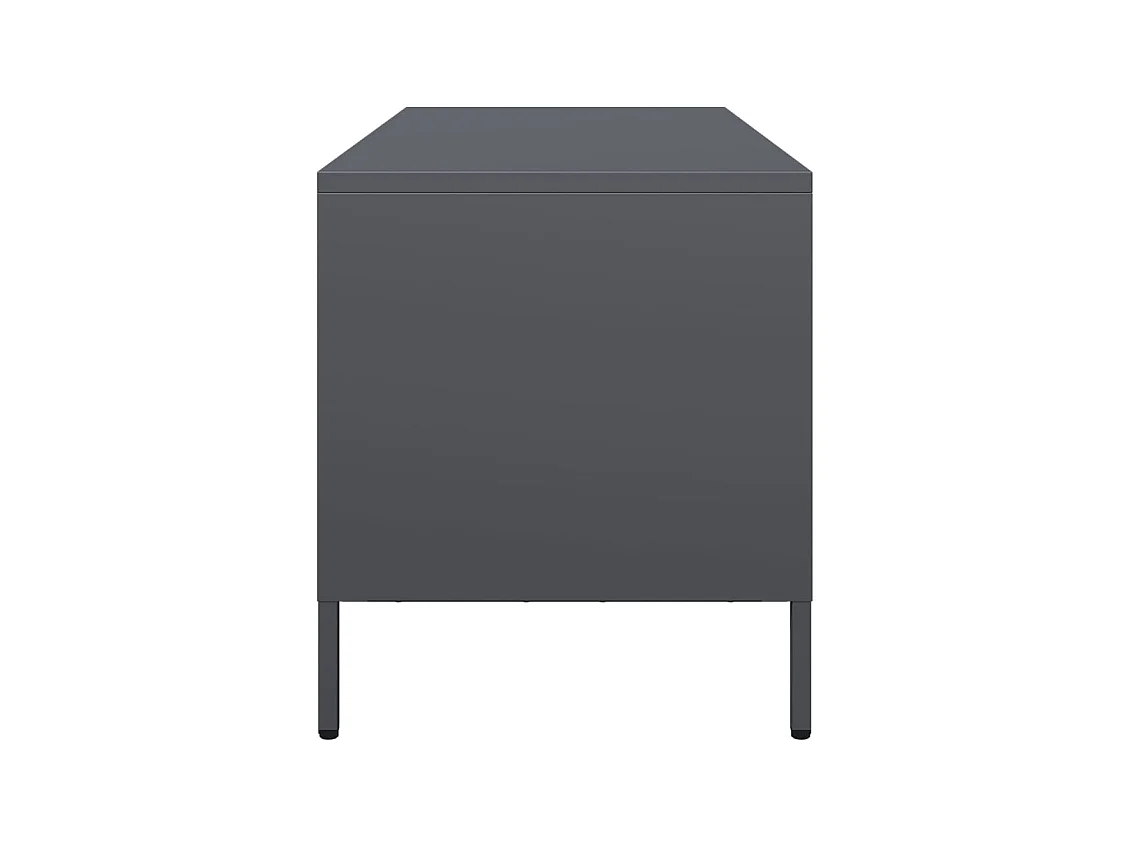 TV-Schrank Anthrazit 101,5x39x43,5 cm Kaltgewalzter Stahl