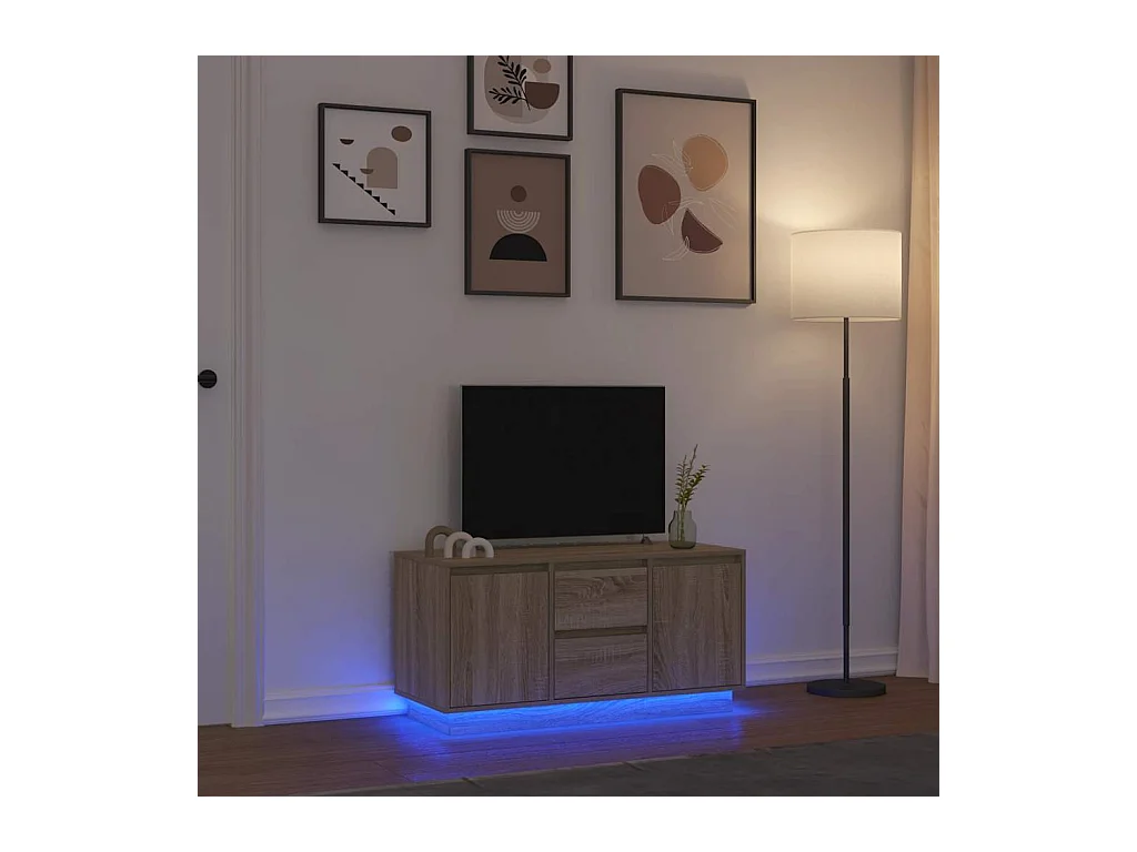 Meuble TV avec lumières LED chêne sonoma 100x41x50 cm