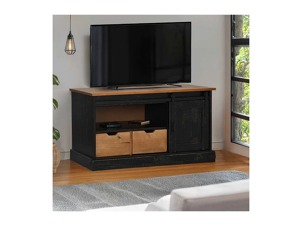 TV-Schrank HALDEN mit Schiebetür Schwarz 110x40x60cm Massivholz