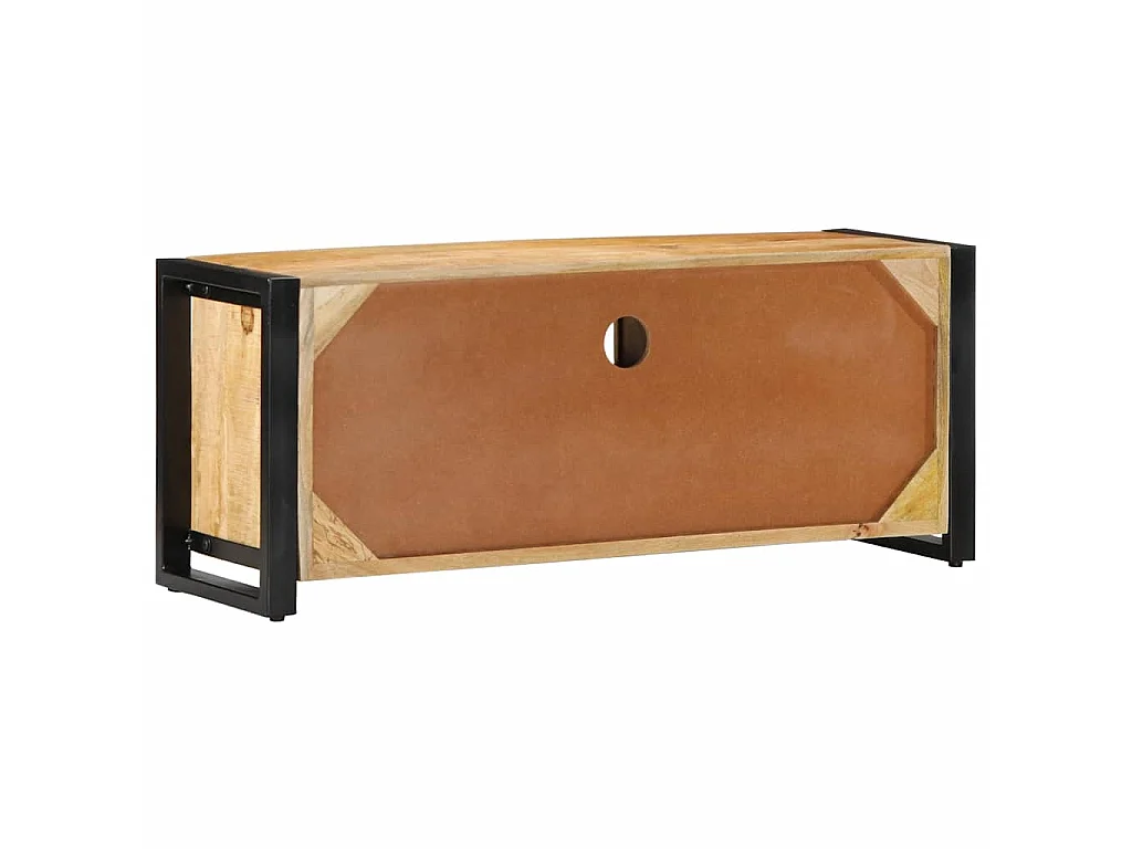 Tv-meubel 100x30x40 cm massief ruw mangohout