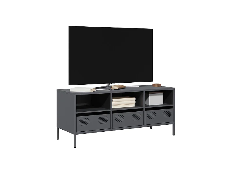 TV-Schrank Anthrazit 101,5x39x43,5 cm Kaltgewalzter Stahl