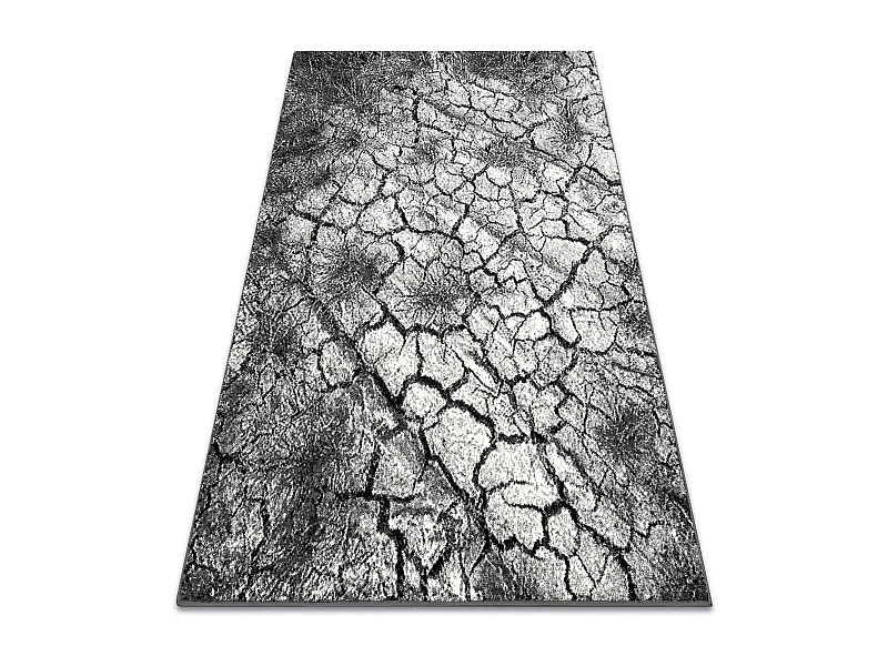 Tapis SILVER Terra sol fissuré gris 300x400 cm