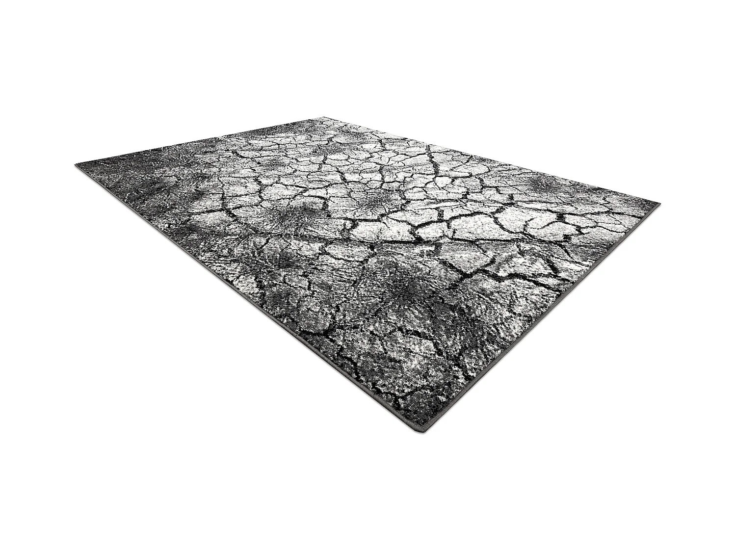 Tapis SILVER Terra sol fissuré gris 300x400 cm