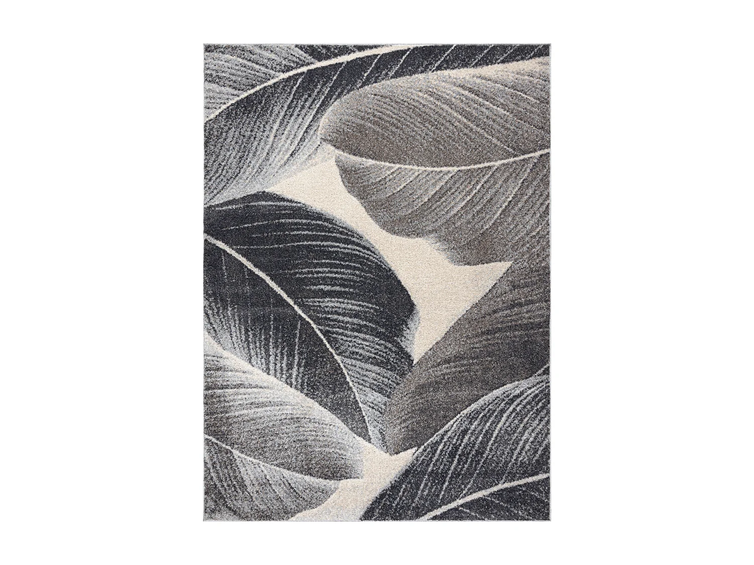 Tappeto FUSION 8912 grigio scuro - Piuma, moderno, astratto 200x290 cm