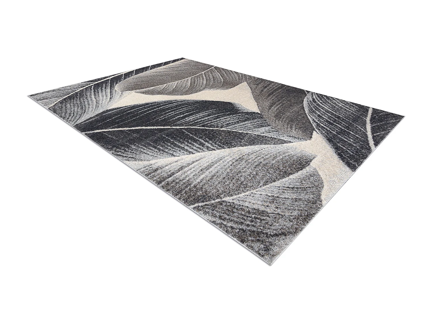 Tappeto FUSION 8912 grigio scuro - Piuma, moderno, astratto 200x290 cm