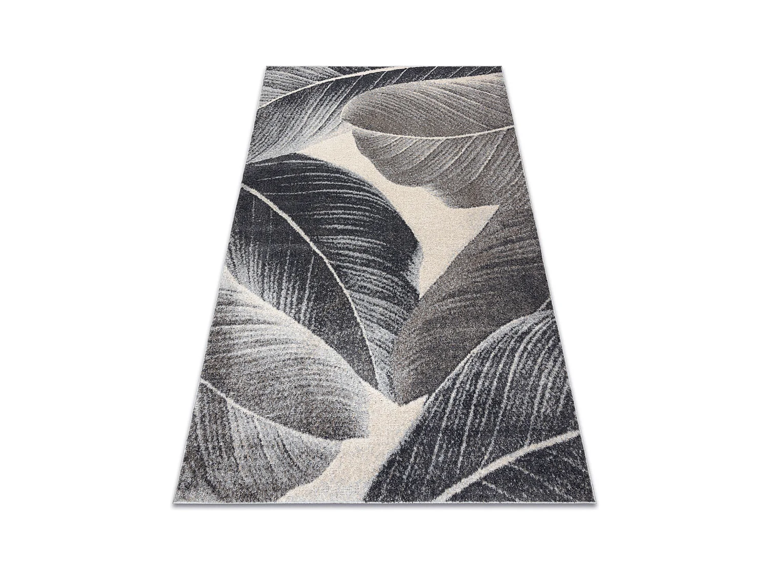 Alfombra FUSION 8912 gris oscuro - Plumas, moderna, abstracta 160x220 cm