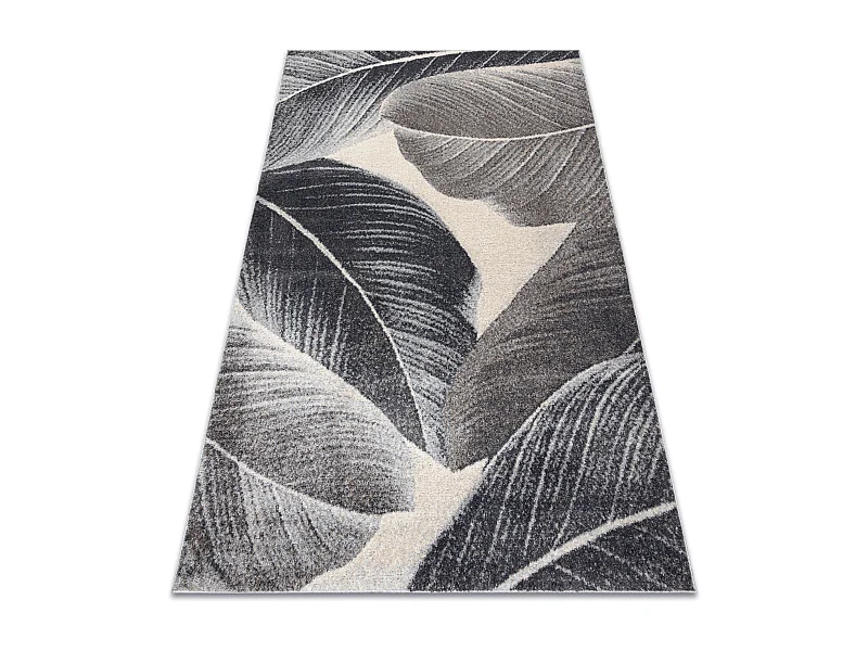 Tapis FUSION 8912 gris foncé - Plumes, moderne, abstrait 120x170 cm