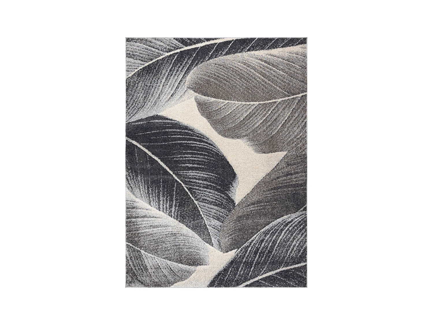 Tapijt FUSION 8912 donker grijskleuring - Veren, modern, abstract 140x190 cm