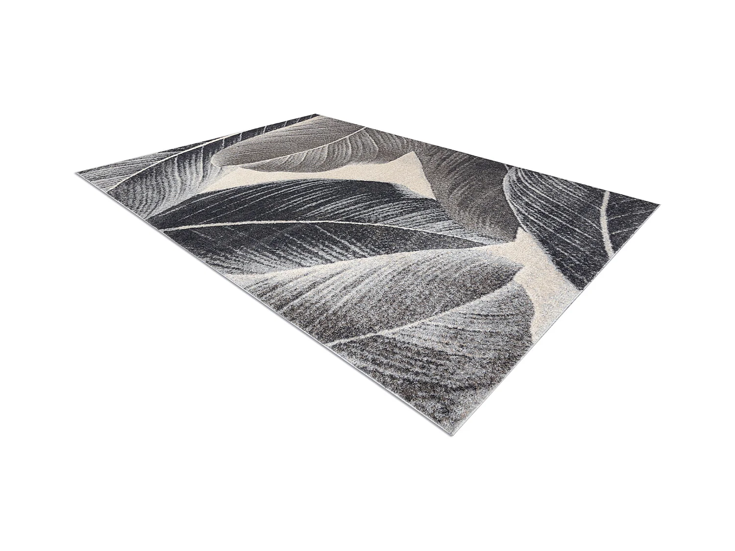 Tapijt FUSION 8912 donker grijskleuring - Veren, modern, abstract 140x190 cm