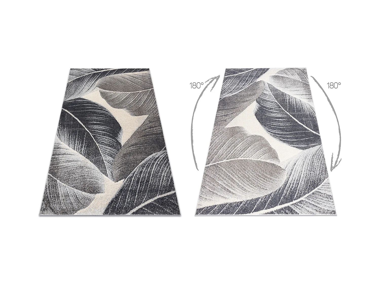 Tapis FUSION 8912 gris foncé - Plumes, moderne, abstrait 280x370 cm