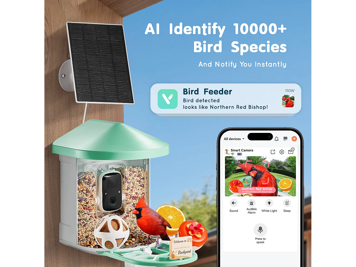 Mangeoire à Oiseaux Intelligente SucceBuy avec Caméra, 2K HD, Espèces IA,, Alimentée par L'énergie Solaire