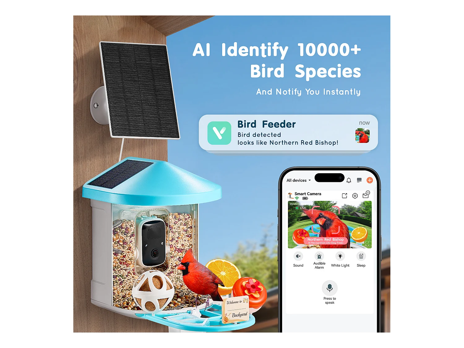 Mangiatore per Uccelli Intelligente SucceBuy con Telecamera, 2K HD, Specie IA, Alimentato dalla Energia Solare