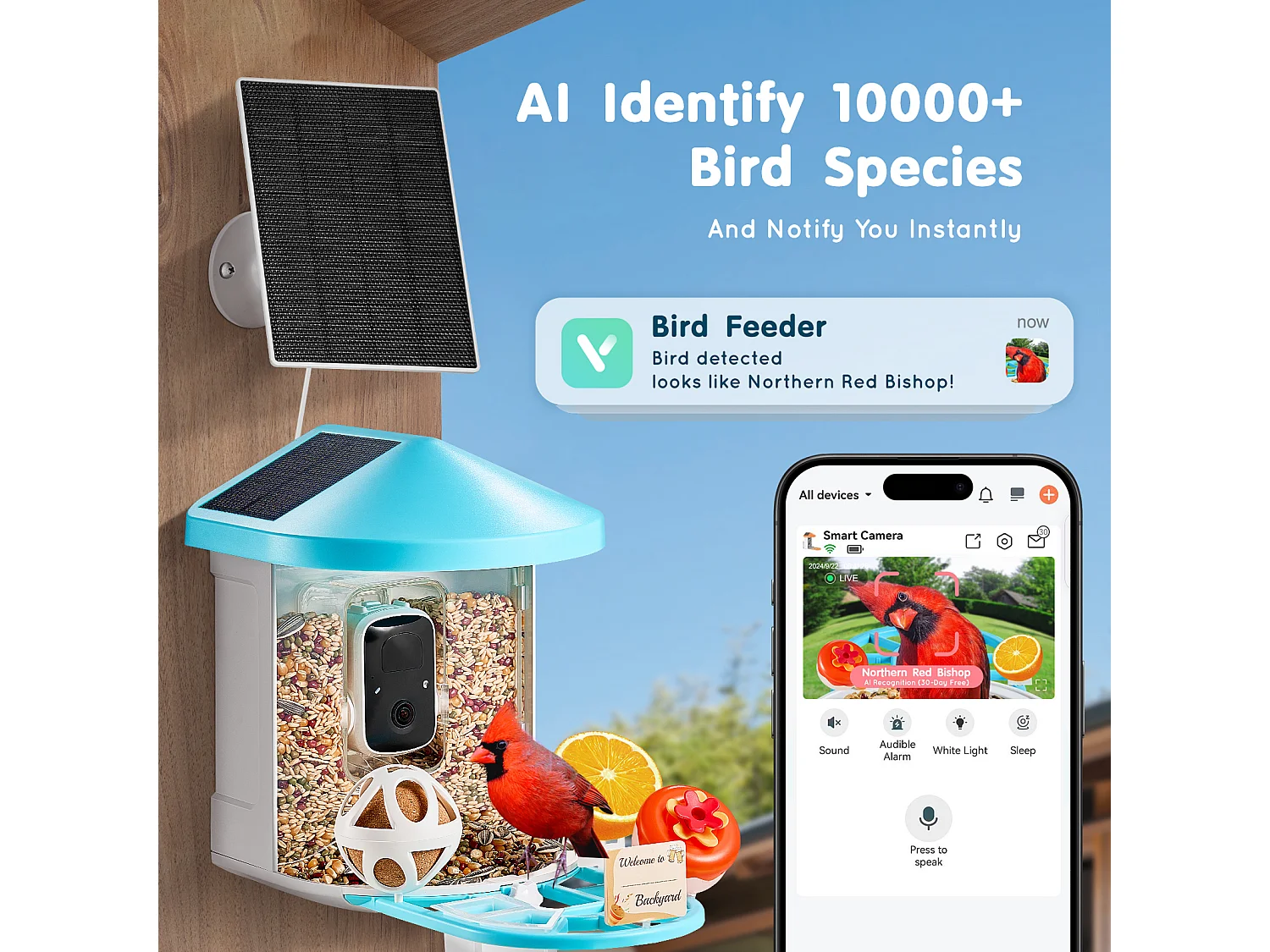 Mangeoire à Oiseaux Intelligente SucceBuy avec Caméra, 2K HD, Espèces IA,, Alimentée par L'énergie Solaire