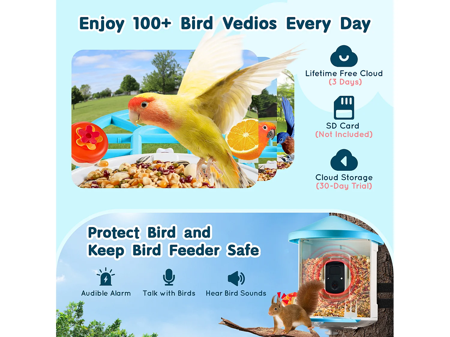 Mangeoire à Oiseaux Intelligente SucceBuy avec Caméra, 2K HD, Espèces IA,, Alimentée par L'énergie Solaire