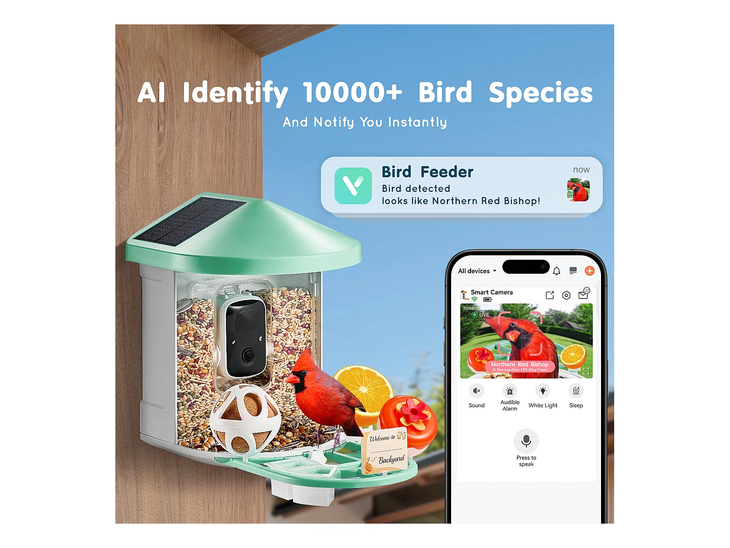 Comedouro para Aves Inteligente SucceBuy com Câmera, 2K HD, Espécies IA, Alimentado pela Energia Solar