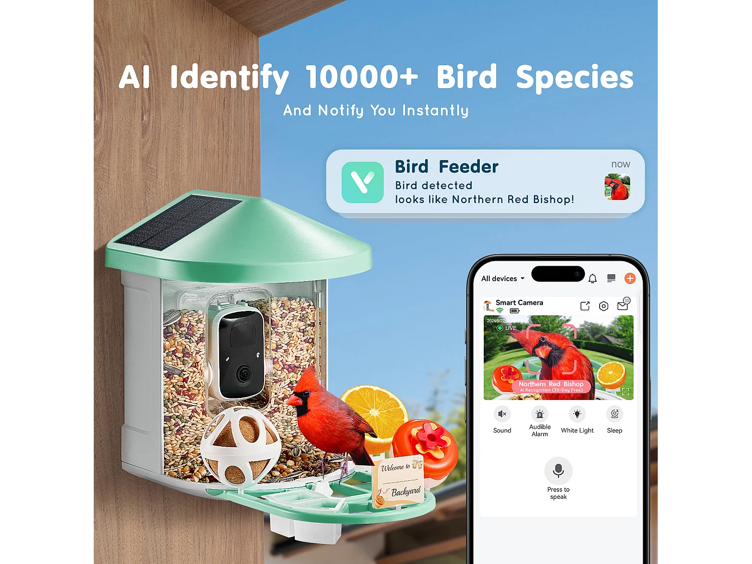Mangeoire à Oiseaux Intelligente SucceBuy avec Caméra, 2K HD, Espèces IA,, Alimentée par L'énergie Solaire