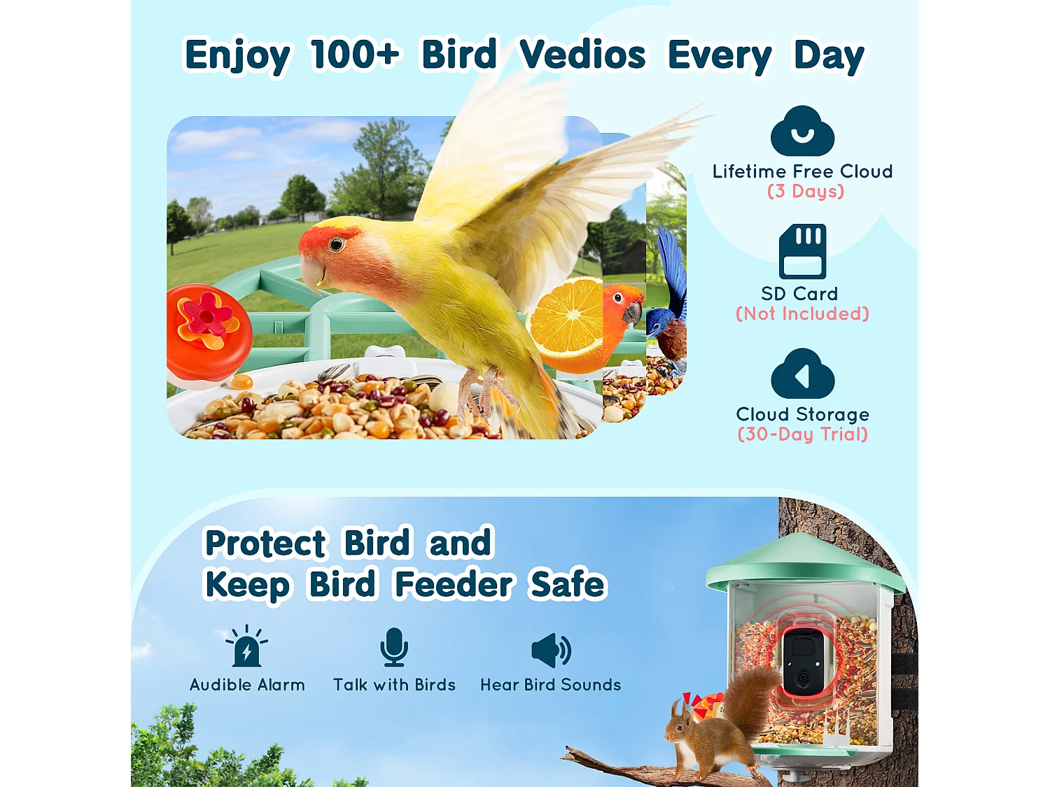 Mangeoire à Oiseaux Intelligente SucceBuy avec Caméra, 2K HD, Espèces IA,, Alimentée par L'énergie Solaire