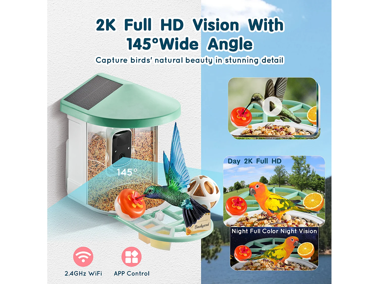 Mangeoire à Oiseaux Intelligente SucceBuy avec Caméra, 2K HD, Espèces IA,, Alimentée par L'énergie Solaire