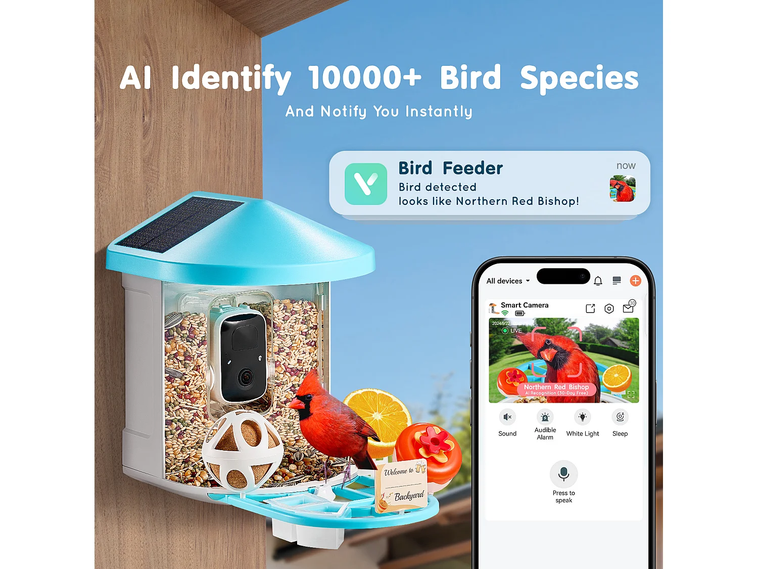 Mangeoire à Oiseaux Intelligente SucceBuy avec Caméra, 2K HD, Espèces IA,, Alimentée par L'énergie Solaire