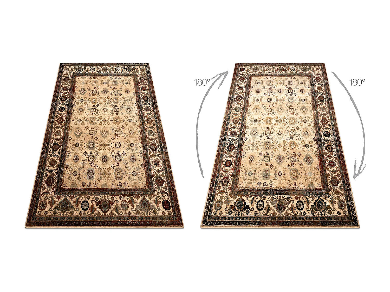 Tapis en laine OMEGA AVILA Ornement cadre sable beige 200x300 cm