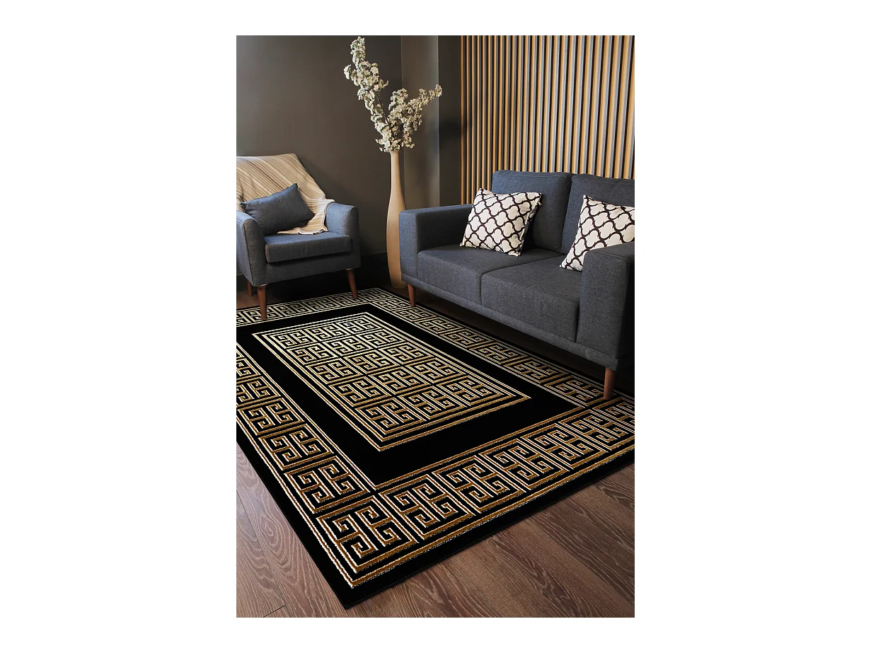 Tapijt ALLURE 1968 Grčki ključ, okvir - Structureel, stijlvol, glamo 140x190 cm