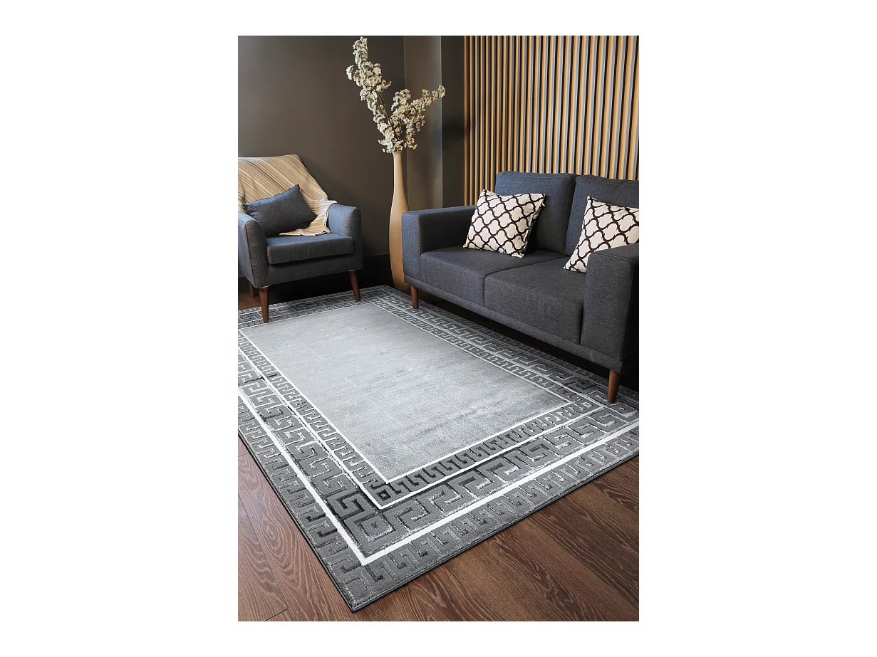 Tapis ALLURE 1960 Clé grecque, cadre - Structurel, élégant, glamour 160x220 cm