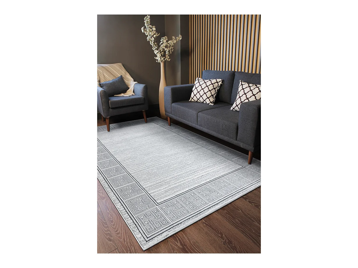 Tapis ALLURE 8783 Clé grecque, cadre - Structurel, élégant, glamour 120x170 cm