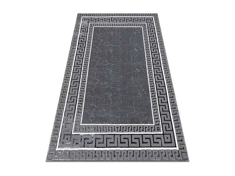 Tapijt ALLURE 1960 Grieks sleutel, frame - Structureel, stijlvol, glam 180x270 cm