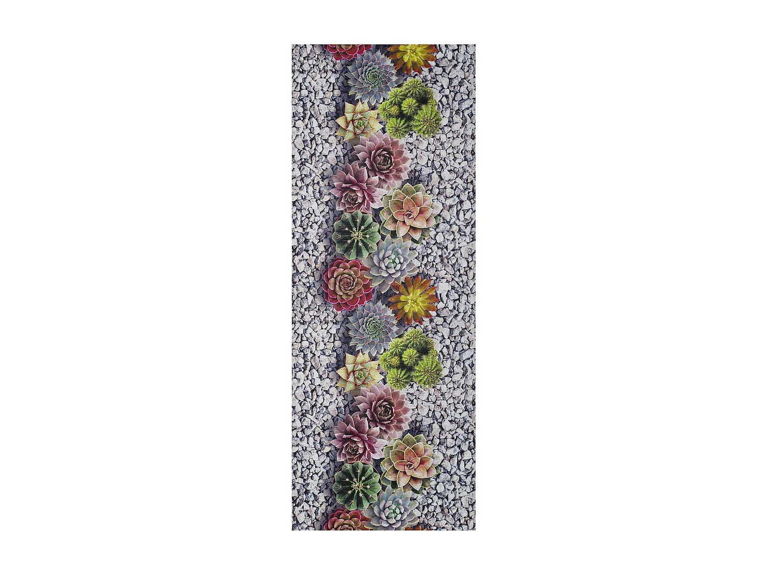 Tapis de cuisine - dessins cactus - gris - 52 x 100 cm - SPRINTY