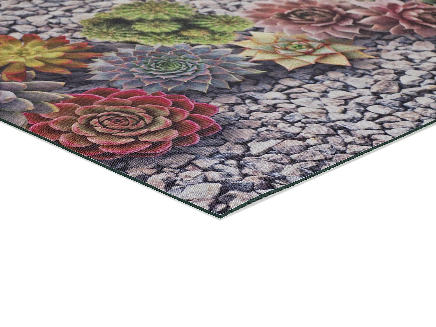 Tapis de cuisine - dessins cactus - gris - 52 x 100 cm - SPRINTY