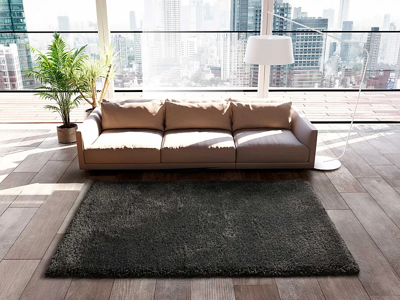 Tapis intérieur - shaggy - anthracite - 200 x 290 cm - SHAGGY REC ANT