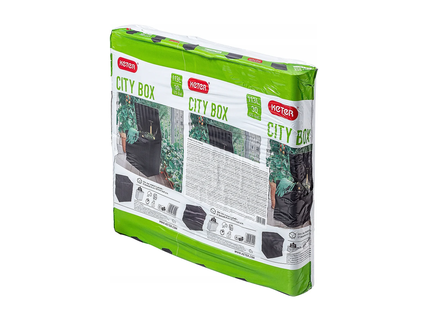 Coffre de rangement extérieur Keter City Box