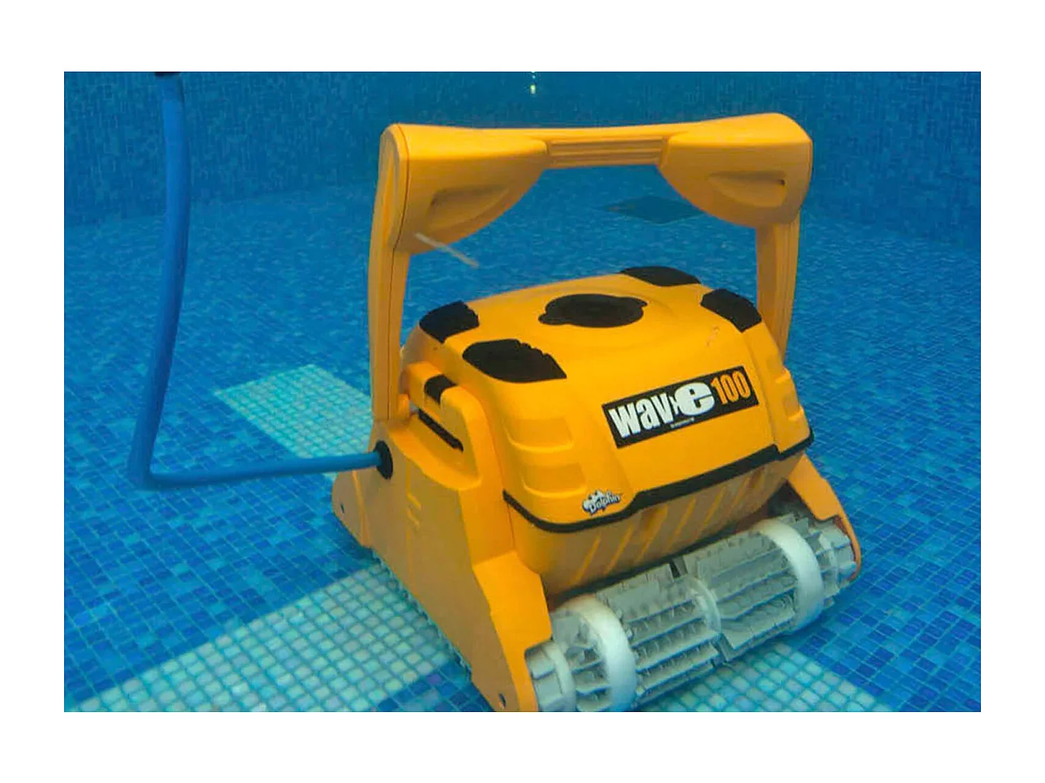 Dolphin Robot electrique de piscine professionnel 25m brosse combinée - wave 100