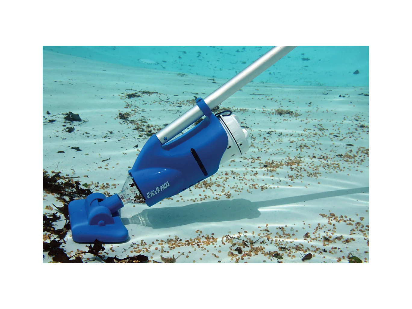 Water Tech Aspirateur de piscine rechargeable - catfish - 104326