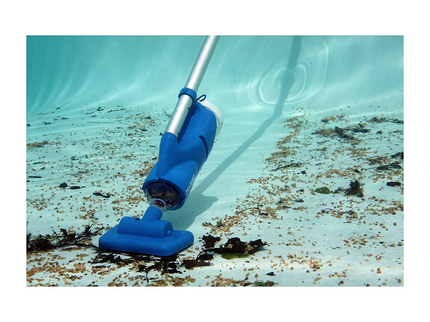 Water Tech Aspirateur de piscine rechargeable - catfish - 104326