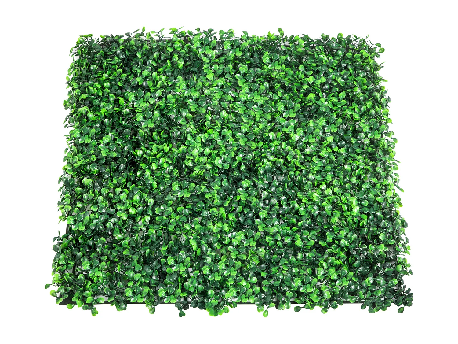 Haie Artificielle SucceBuy 12 pcs UV Artificial Boxwood Hedge Panels 50.8 x 50.8 cm Green for Fence Decor