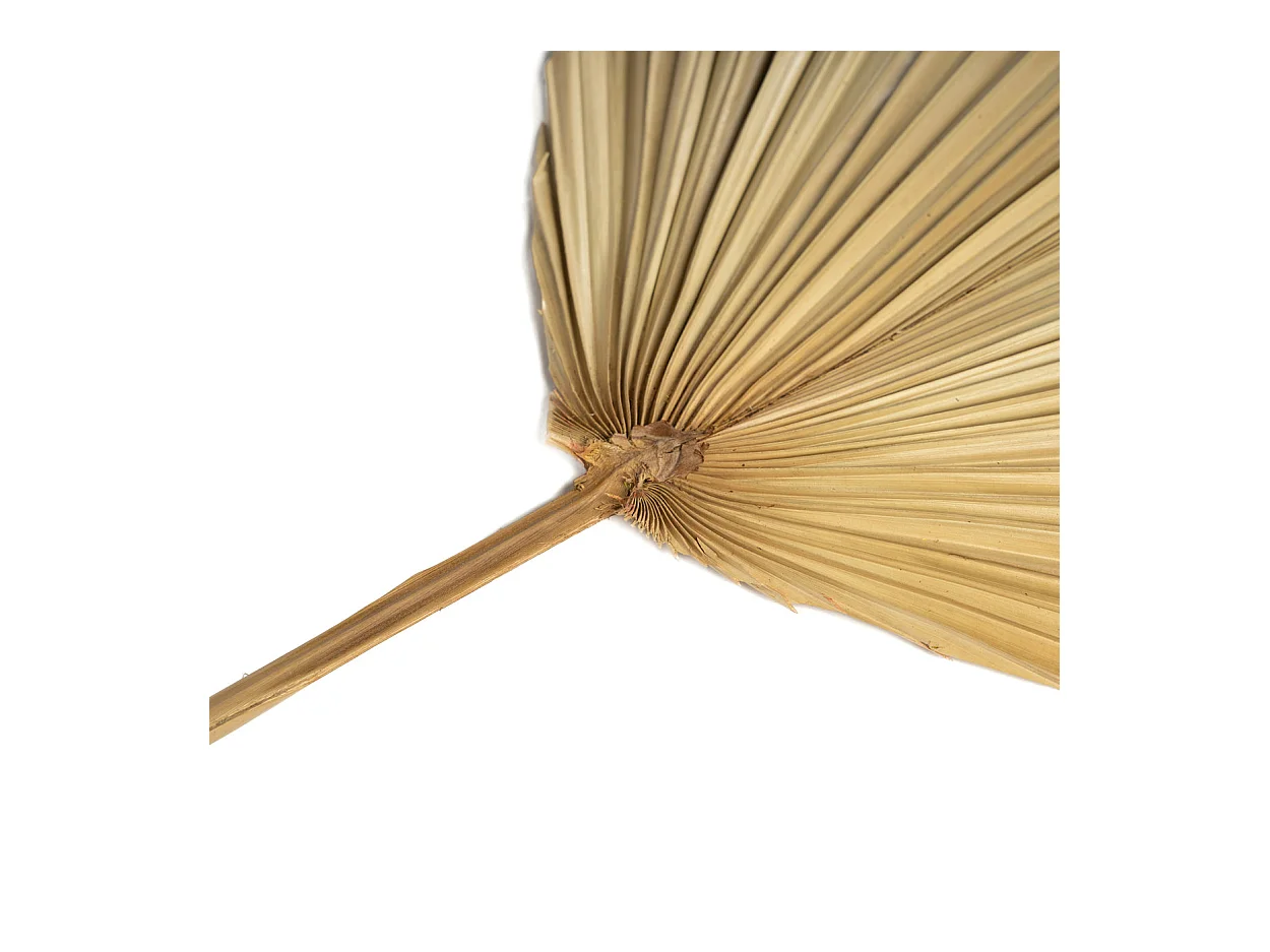 La Foglia di Rayung - Naturale